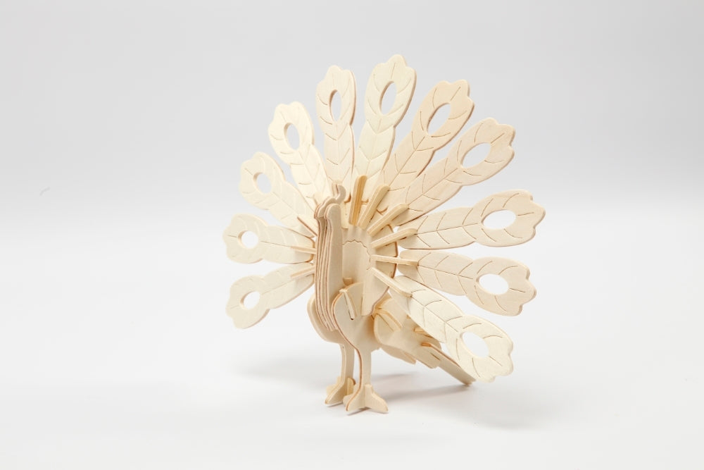 3D medinis konstruktorius, POVAS