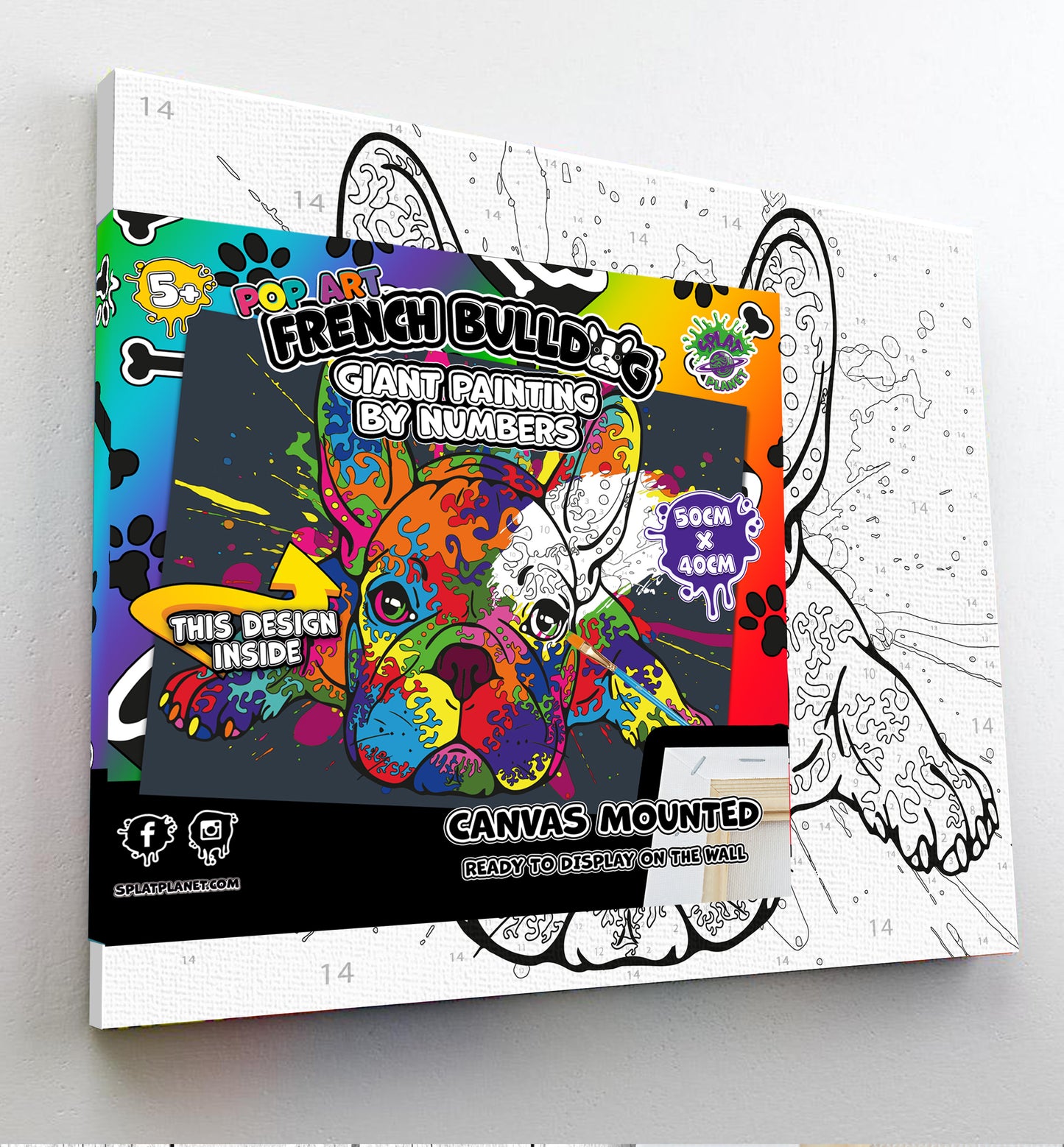 Splat Planet tapyba pagal skaičius, PRANCŪZŲ BULDOGAS 30x40 cm