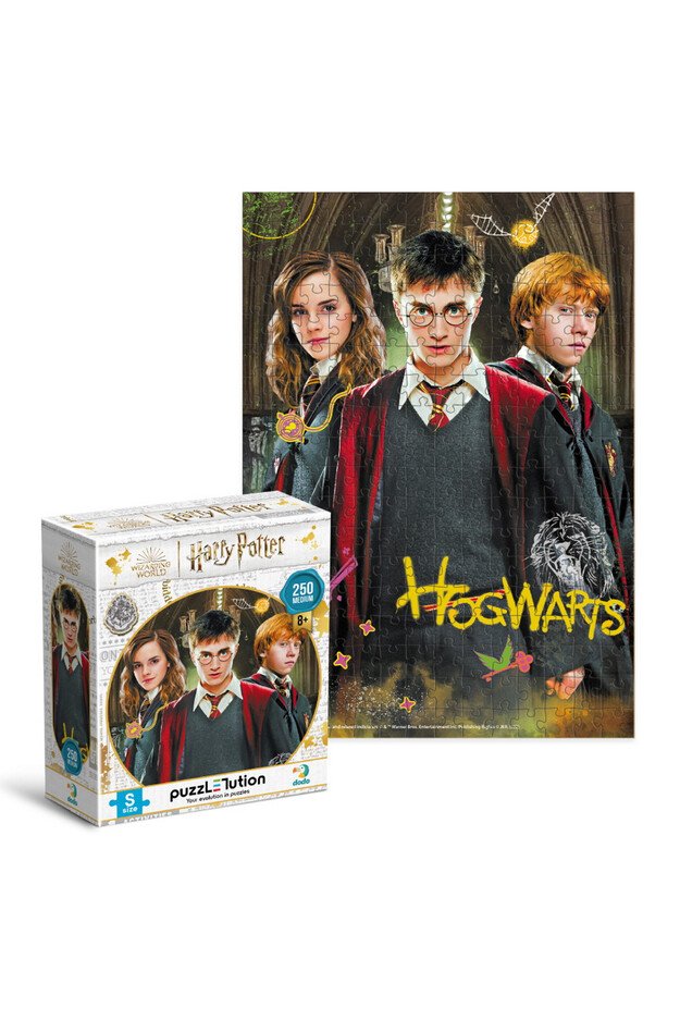 Dodo dėlionė Harry Potter Hogwarts (250 det.)