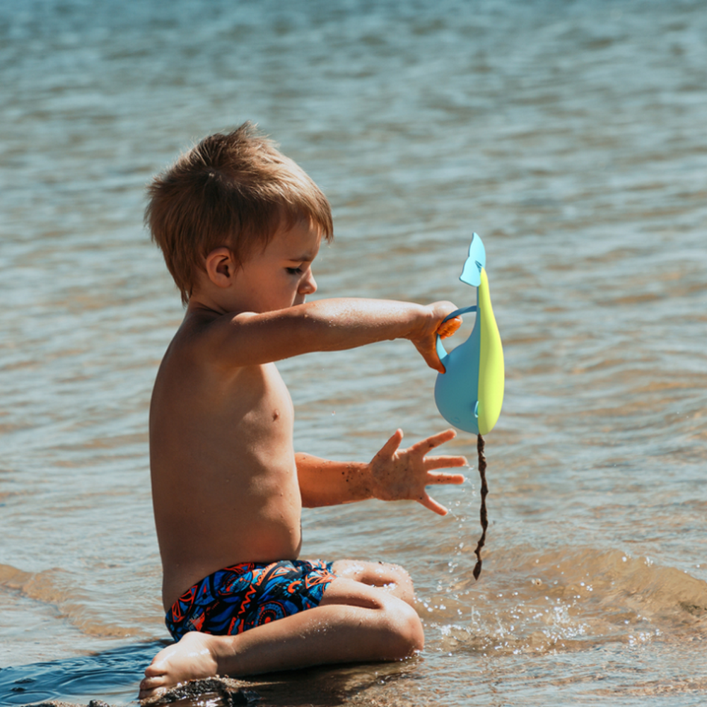 BiBio delfinas DolBi