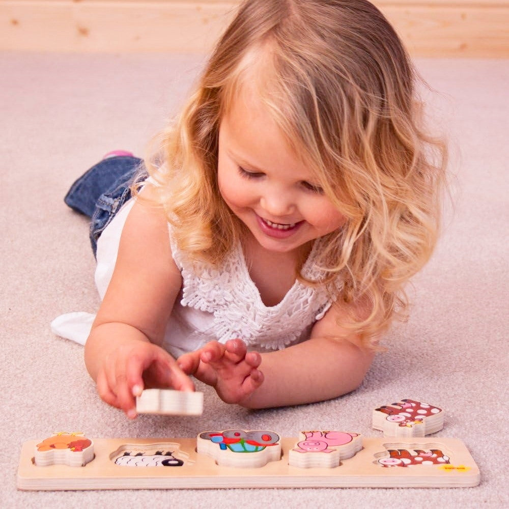 Bigjigs medinė formų dėlionė ūkis (6 el.)