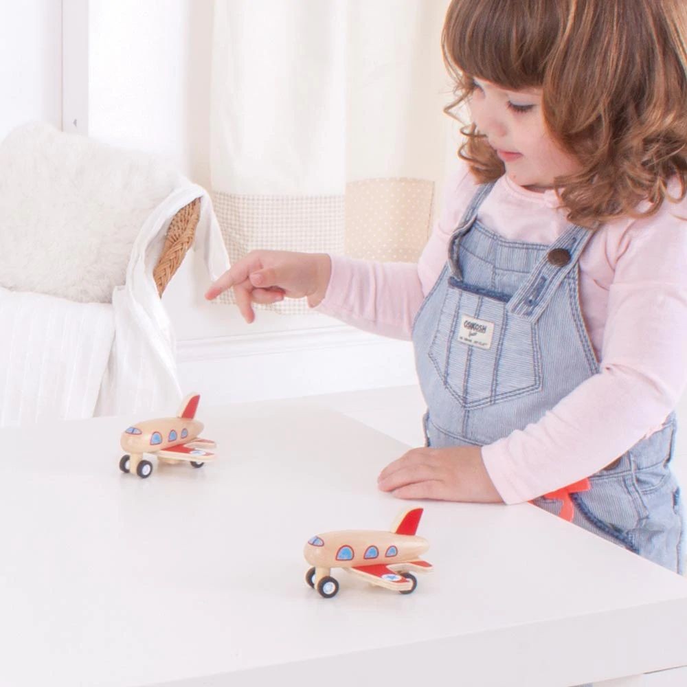 Bigjigs medinis lėktuvėlis