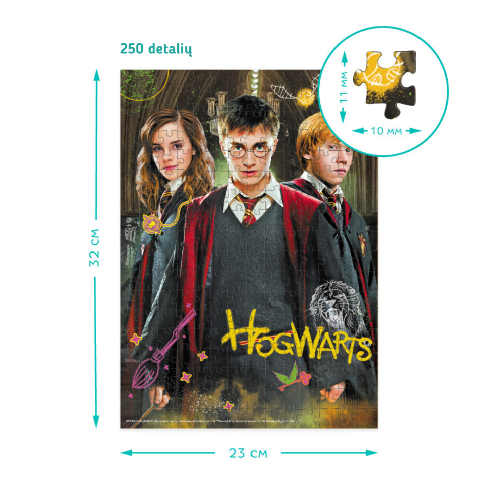 Dodo dėlionė Harry Potter Hogwarts (250 det.)