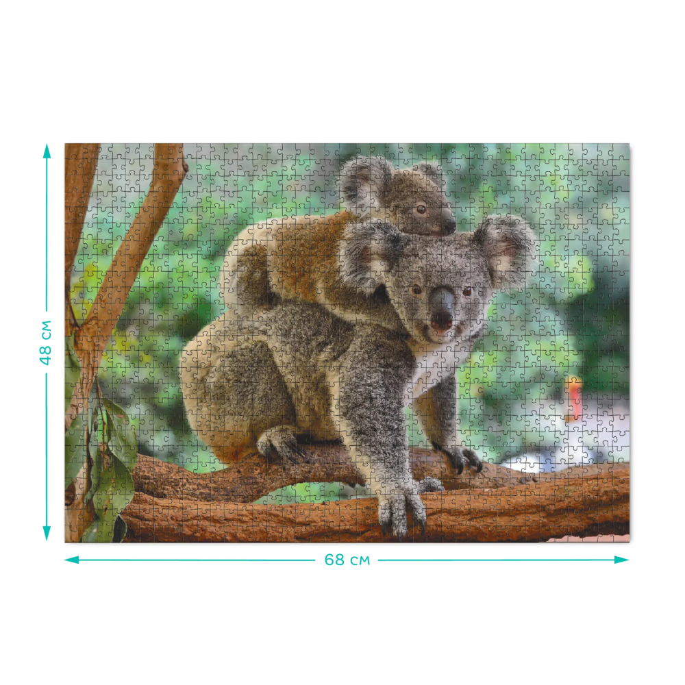 Dodo dėlionė Koalos (1000 det.)