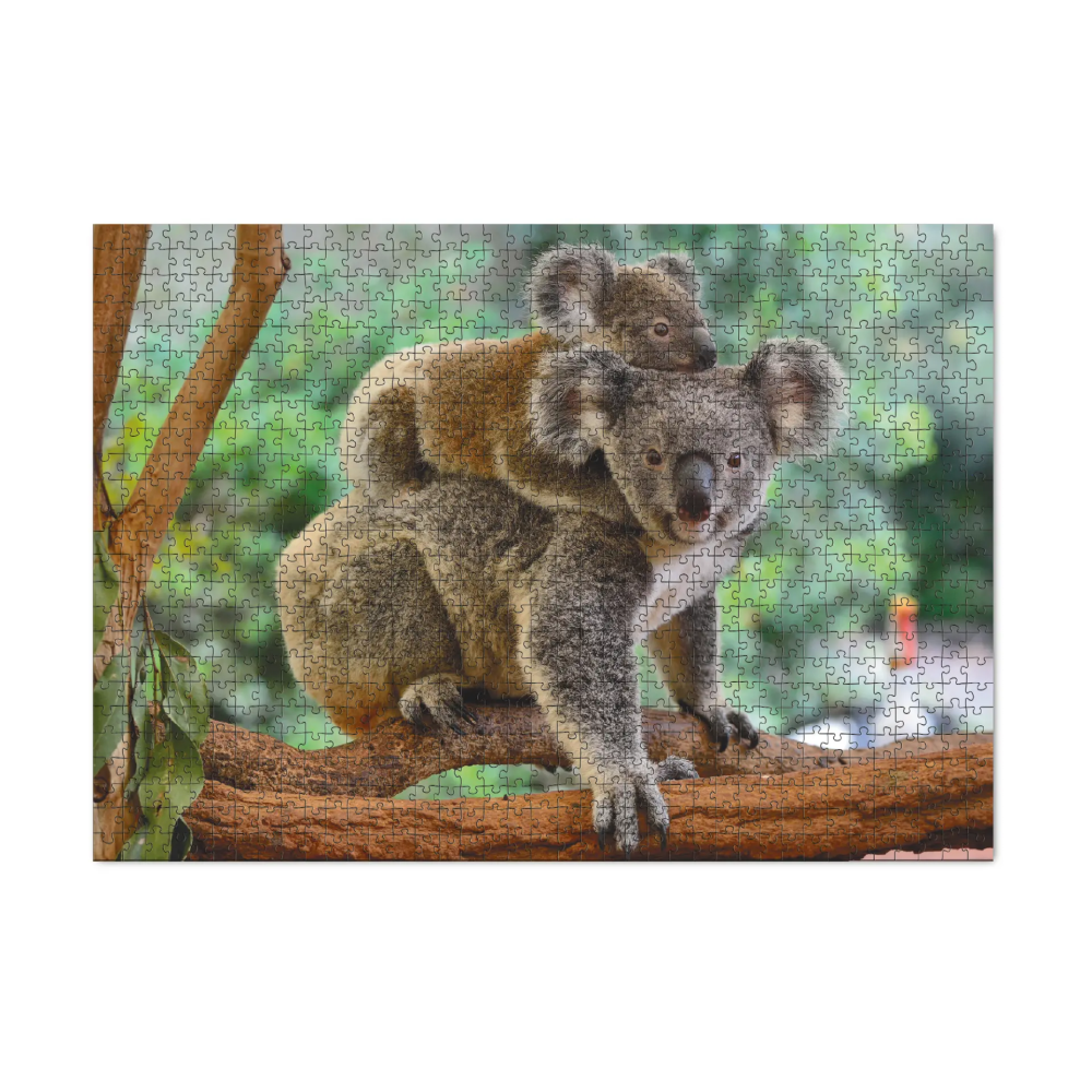 Dodo dėlionė Koalos (1000 det.)