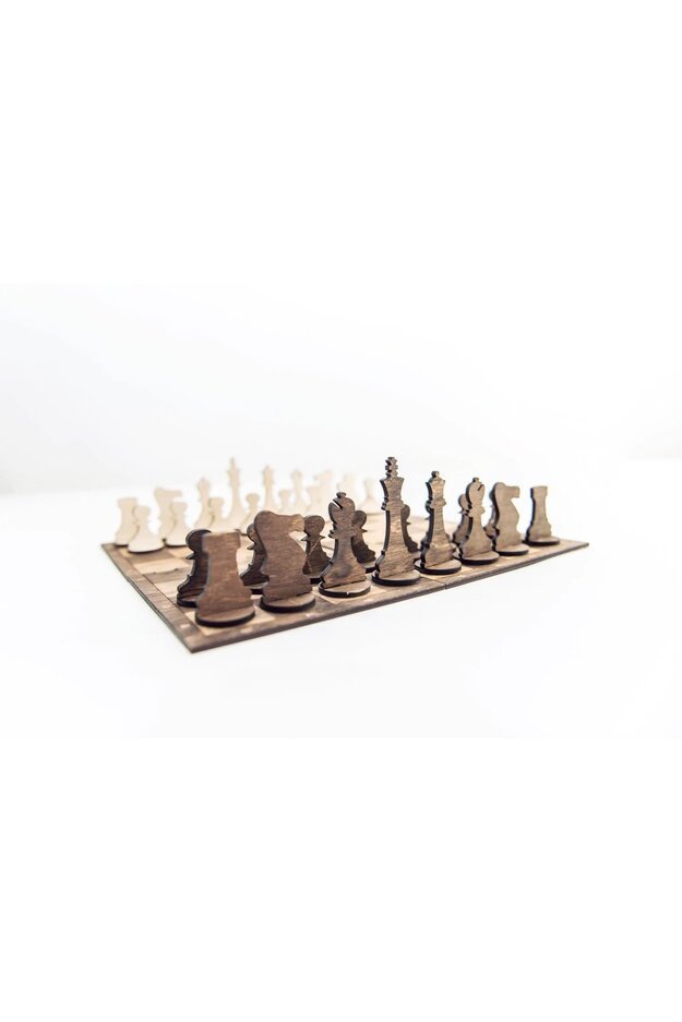 Lavinamasis žaislas "Šachmatai, šaškės"