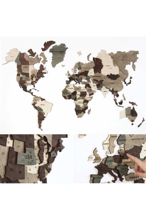 Margas medinis pasaulio žemėlapis